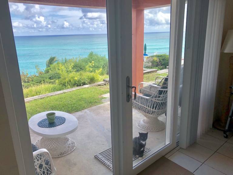 Apartment Bermuda