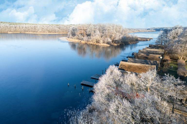 Ferienwohnung mit Hund in Granzow, Mecklenburgische Seenplatte, Deutschland