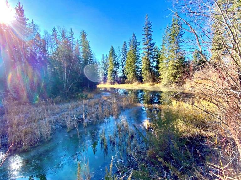Cabin Kalispell