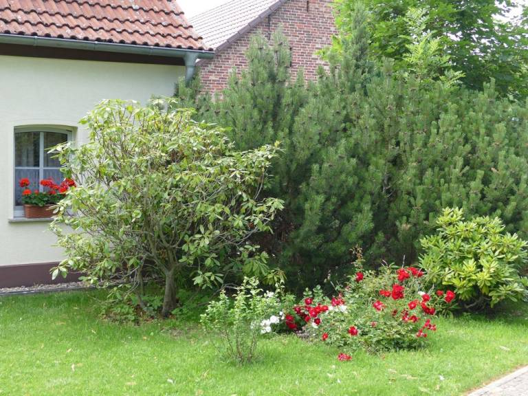 Ferienhaus 4 SR Bad WC