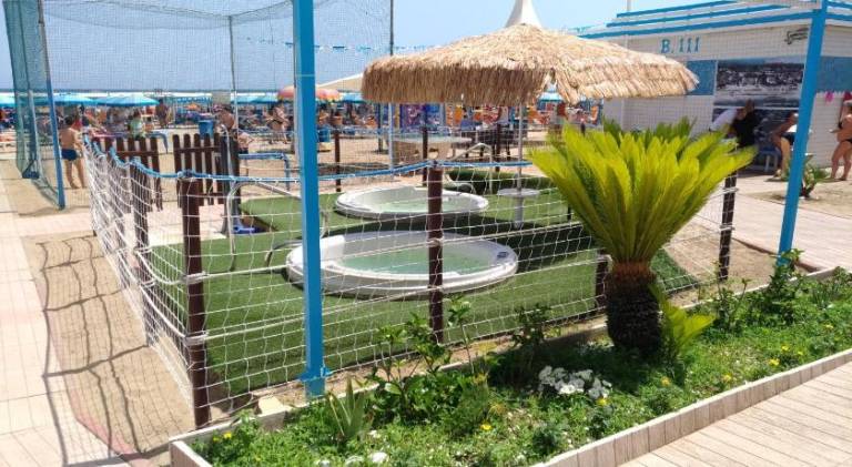 Serviced apartment | Close to the beach | Pets are welcome — photo 4