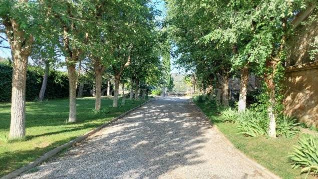 Cottage with pool, BBQ & patio | Nature view — photo 2