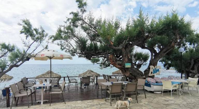 Charming holiday apartment with terrace & yard | Dogs allowed — photo 5