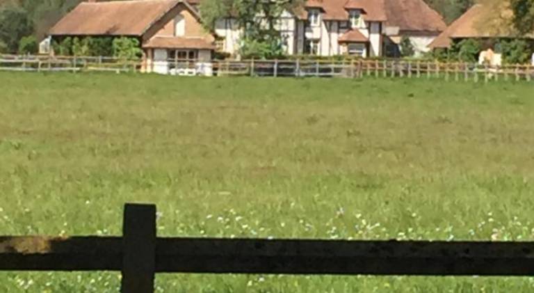 Haras du Vignault Le Bucher — photo 5