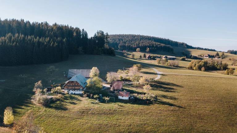 Ferienwohnung in Schonach im Schwarzwald für max. 2 Gäste