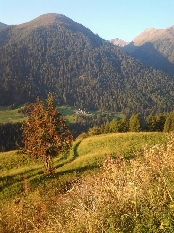 foto17