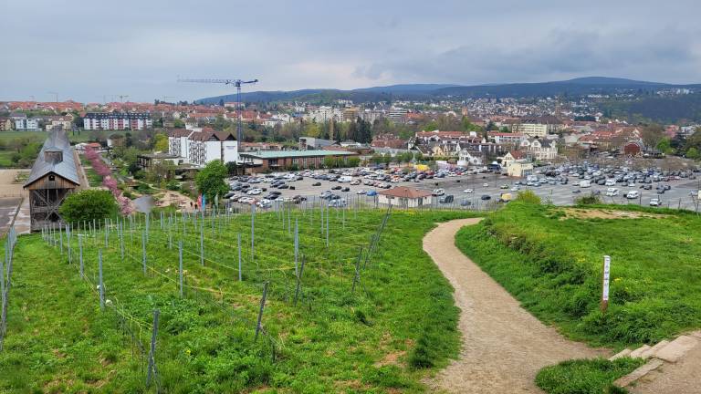foto14