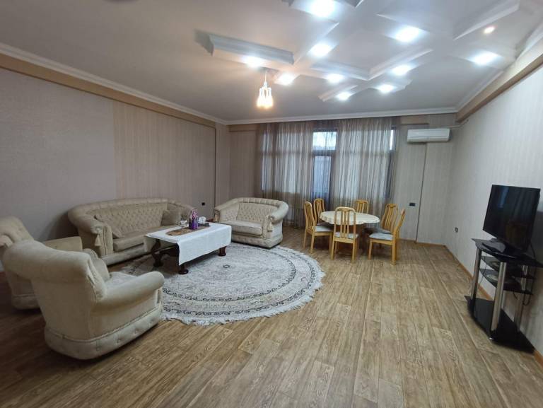 Apartment | Near Nizami Street | Perfect for remote work | Pets allowed in Baku