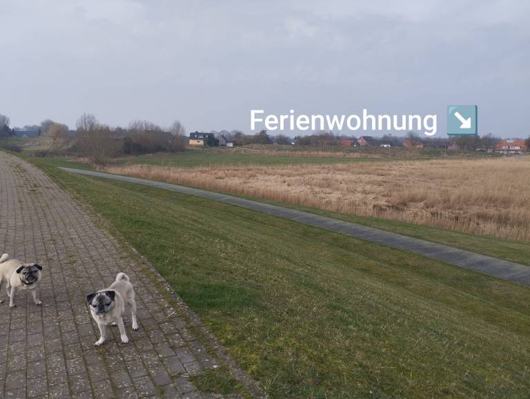 foto17