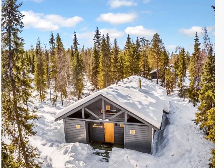House with patio & sauna | Pets are welcome — photo 2