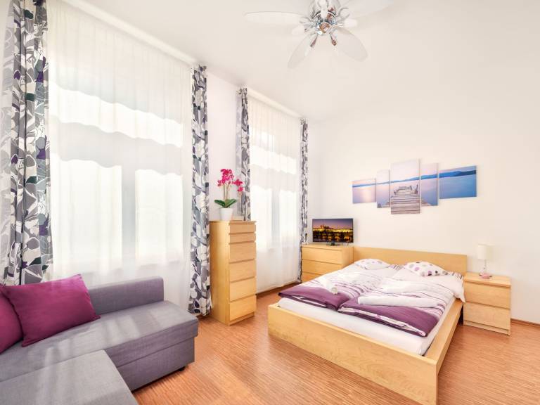 Apartment Žižkov