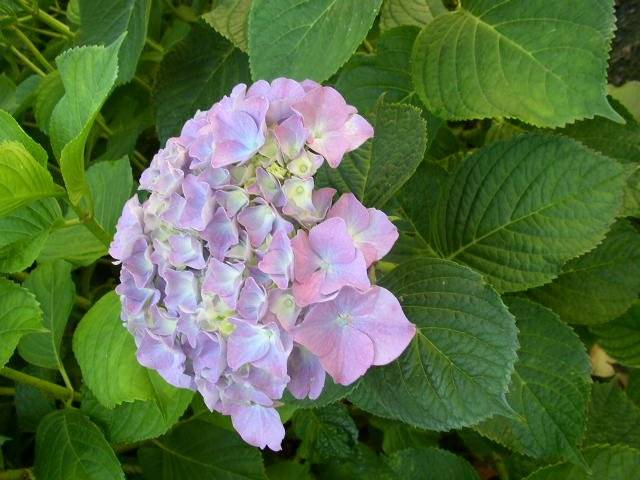 foto22