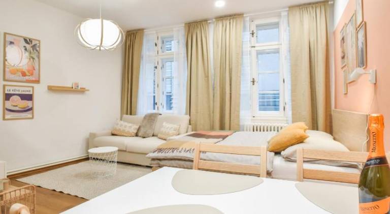 Charming apartment | Near Holy Trinity Column | Dogs allowed in Olomouc