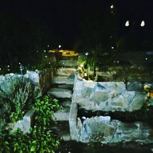 foto11