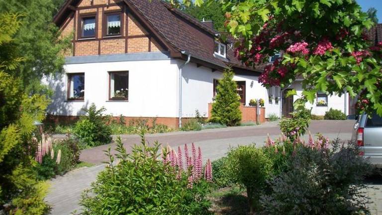 Ferienwohnung mit Hund in Bergen auf Rügen für max. 2 Gäste Ferienwohnung mit Hund in Bergen auf Rügen für max. 2 Gäste