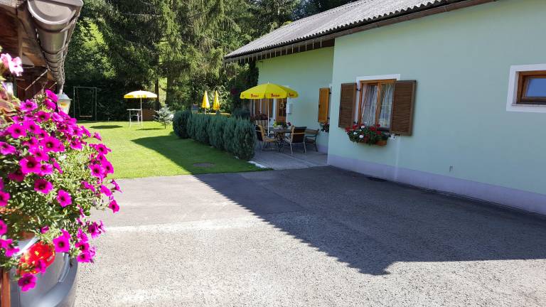 foto8