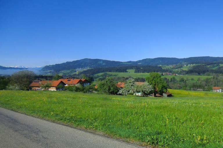 foto1