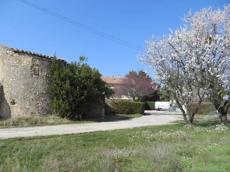 foto16