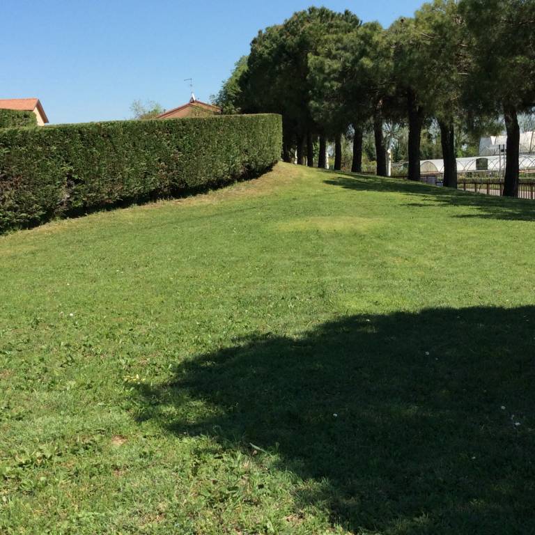 foto14