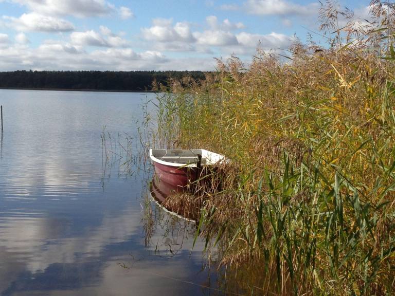 foto22
