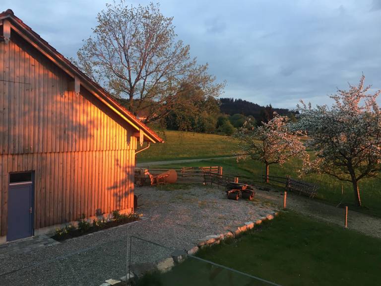 foto22