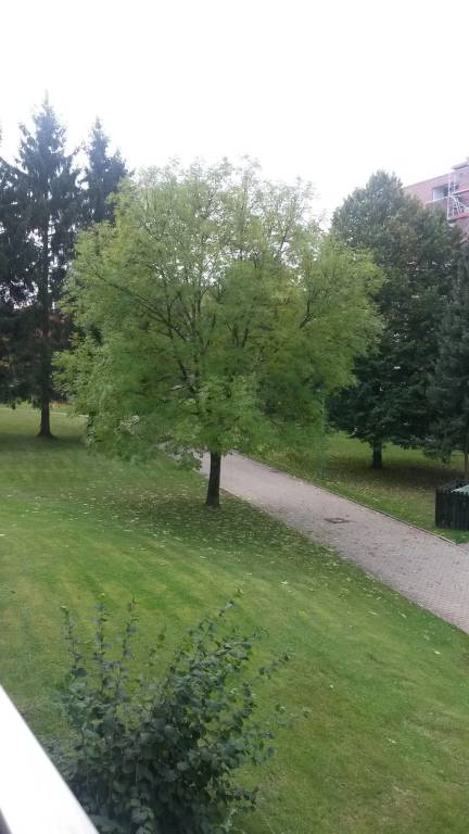Family-oriented charming rental apartment with sauna, barbeque & pool | Dogs allowed — photo 3