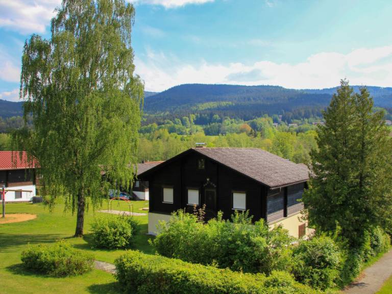 foto19