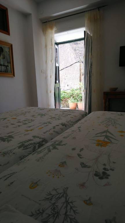 foto42