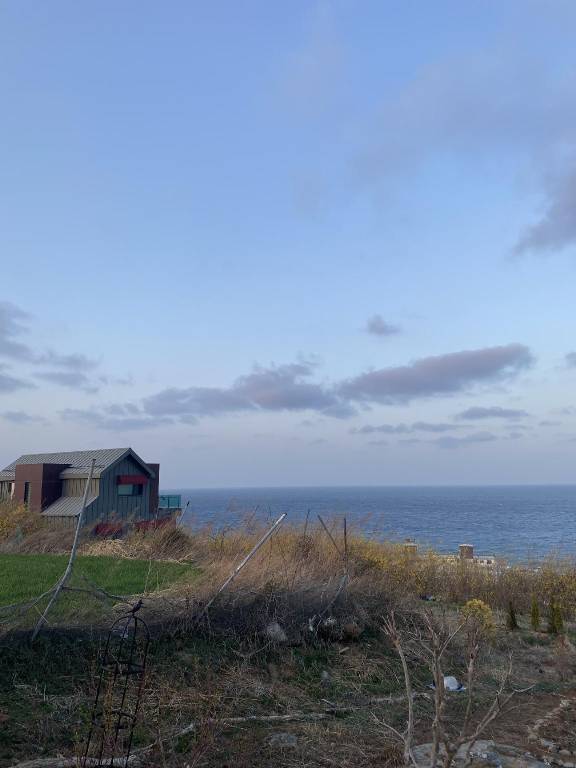 foto16