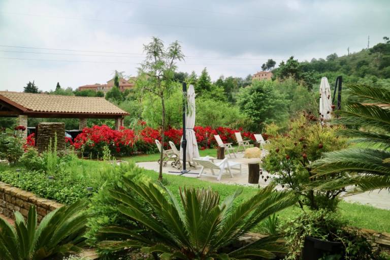 foto6
