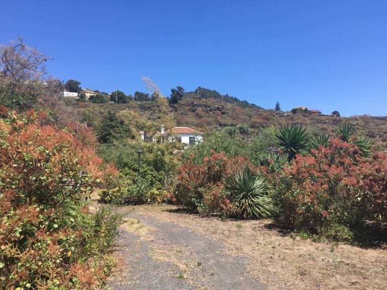 foto18