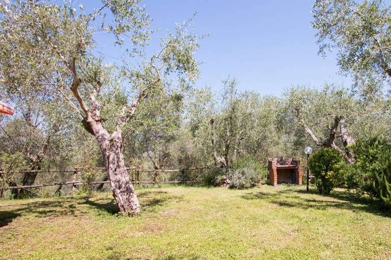 Privatzimmer Massarosa