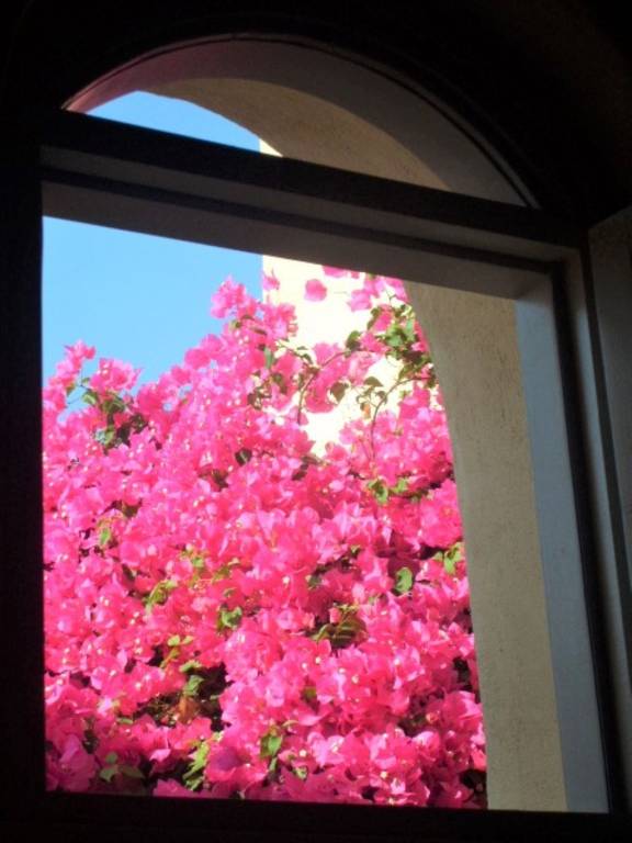 foto8