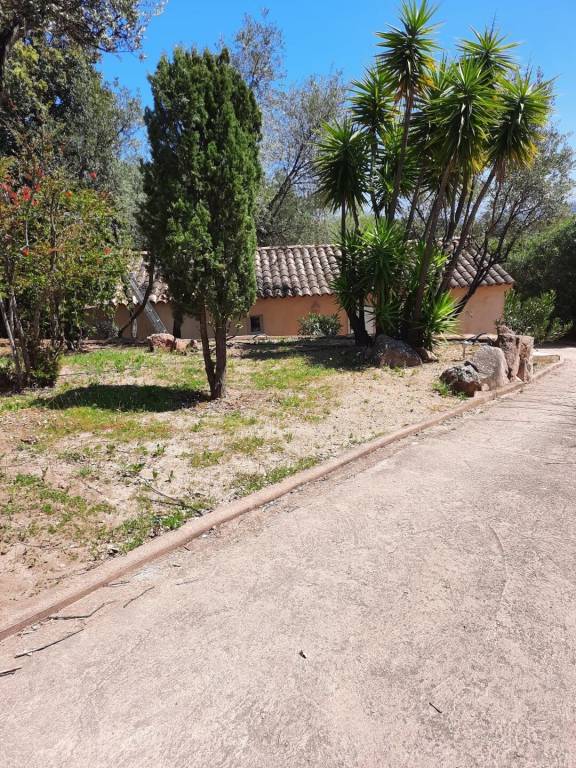 Villa with yard, grill & pool — photo 4