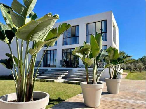 Villa Sant Antoni de Portmany