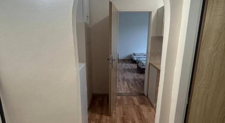Rental apartment | Dogs allowed — photo 3