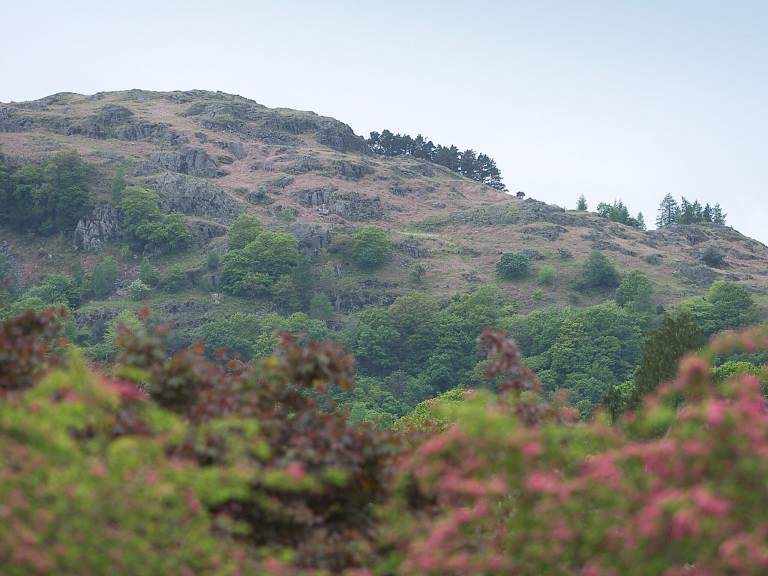 foto11