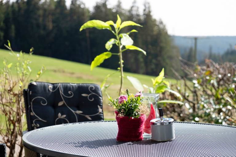 Apartment 'Janßen-Wehrle' with Mountain View, Private Terrace and Wi-Fi — photo 3