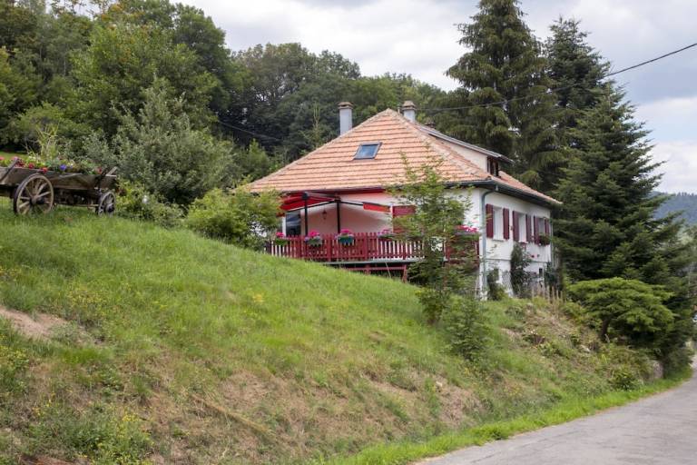 House with patio, sauna & grill | Pet-friendly — photo 4