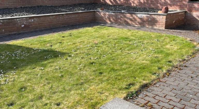 Rental apartment with 2 rooms for 4 persons in Trier