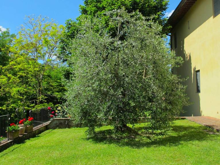 foto15