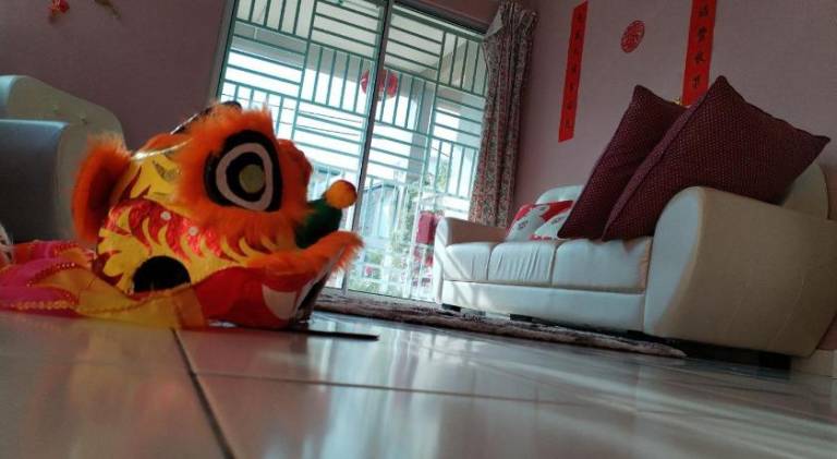 foto8