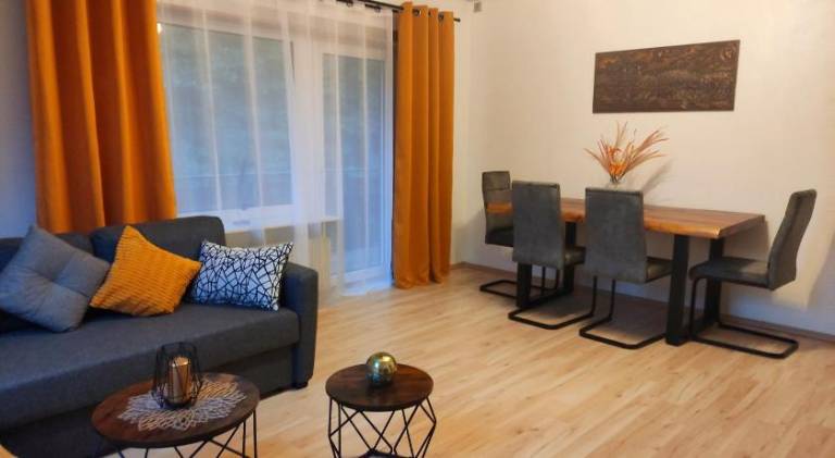 Wonderful rental apartment | Pets are welcome in Freudenstadt