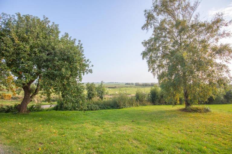 foto19
