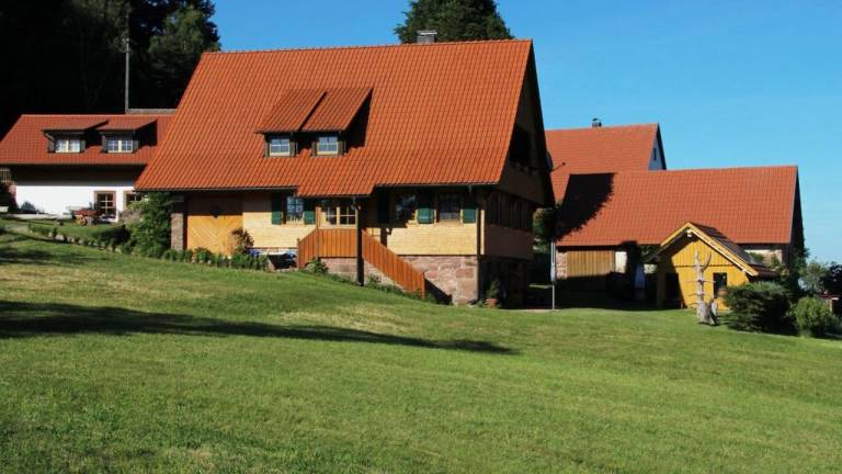 Ferienwohnung  Schiltach