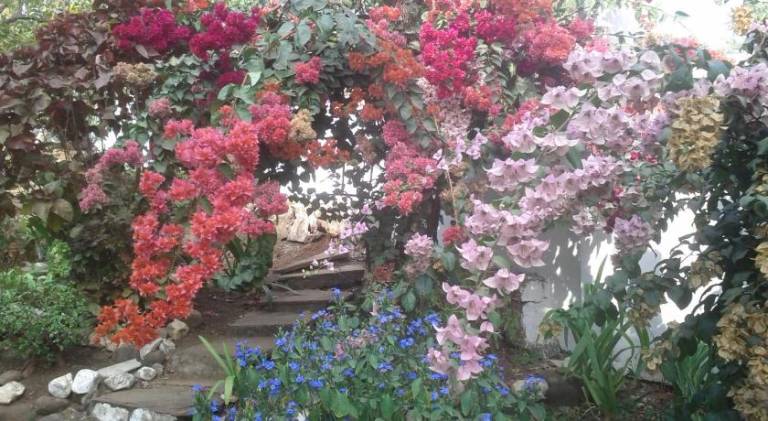 foto34