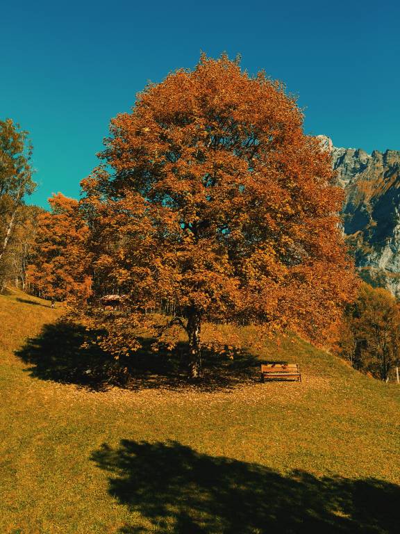 foto41