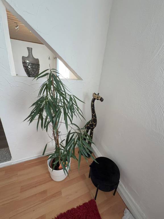 Ferienhaus Siegen
