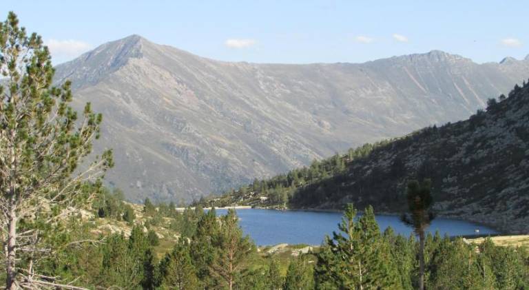 Refuge des etangs de Bassies — photo 3