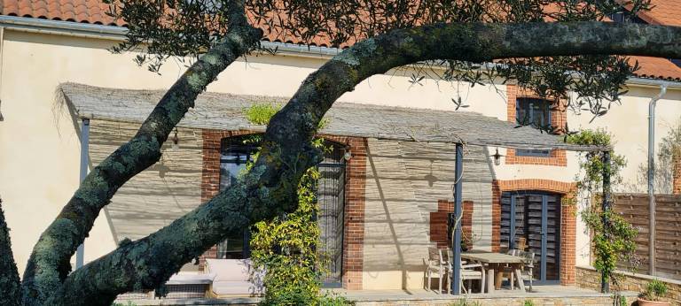 Wine estate loft among vineyards in Gers — photo 2